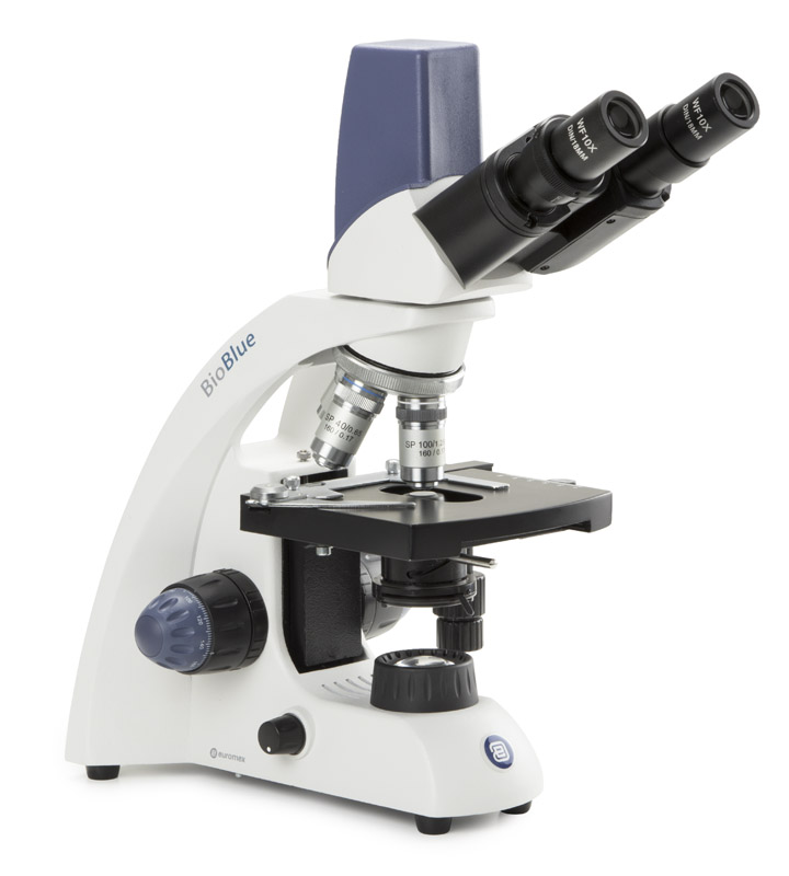Microscope binoculaire BioBlue polarisant, EUROMEX® - Materiel